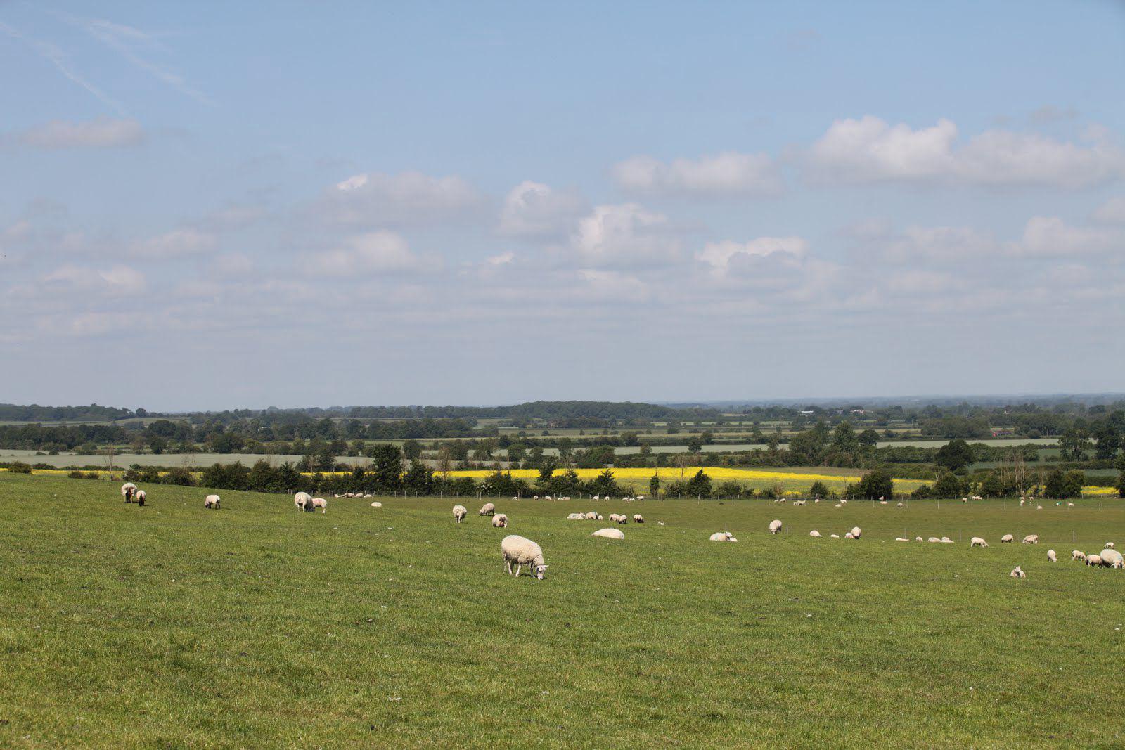 Swindon Camping | Campsites Near Swindon, Wiltshire