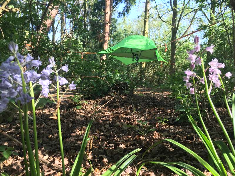 Tree Tent