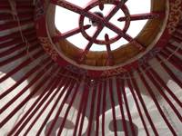 Yurt glamping on a Cornish family farm
