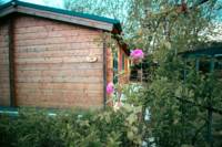 Evergreen Lodge