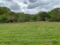 Nick's Field pitch 1