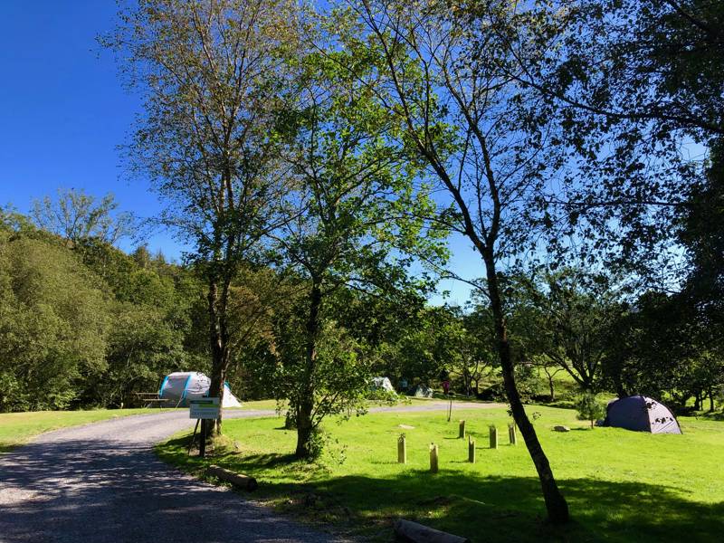 Tent Each No Vehicles On Field 56 At Beddgelert Campsite Cool Camping 13772