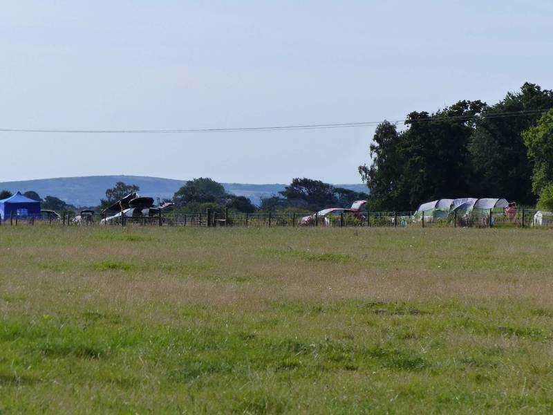 Pitch your tent wherever you like at this New Forest sheep farm campsite. 