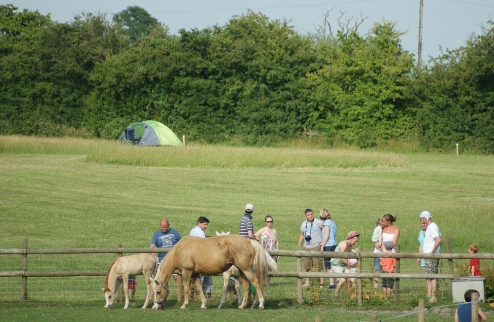 Campsites in the Cotswolds camping sites in the Cotswolds