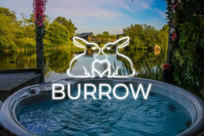 The Burrow