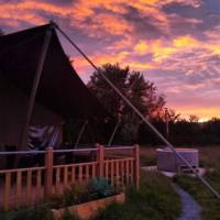 Buzzard Safari Lodge