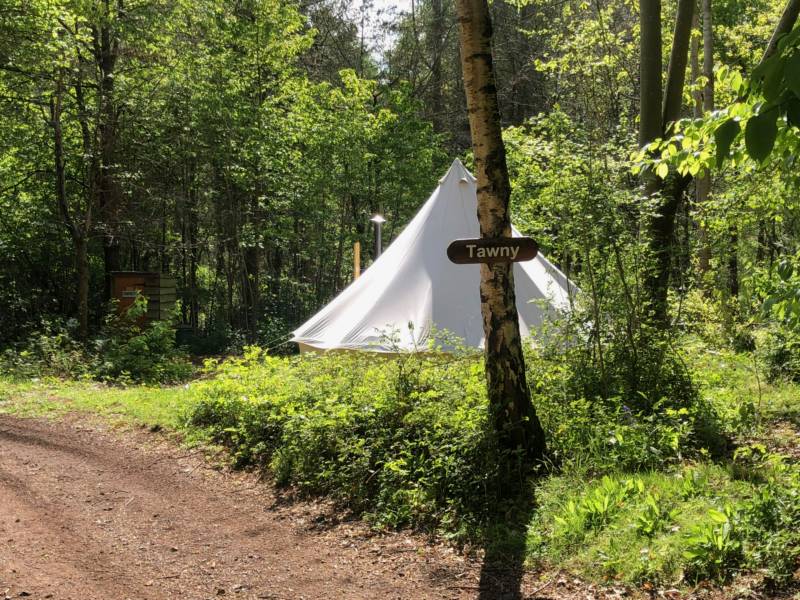 Tawny Bell Tent