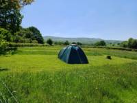 PEGASUS (Tent Pitch)