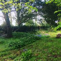 Orchard Bell tent