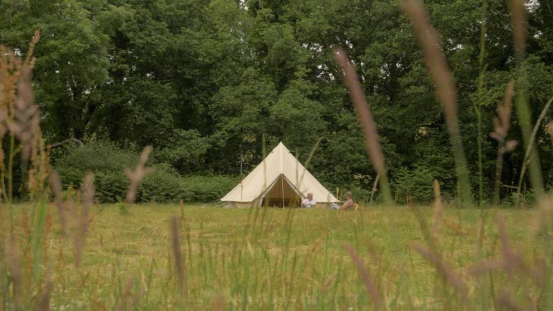 Wild glamping in a 40 acre ancient woodland.