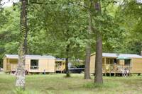 Mobile Home Cottage