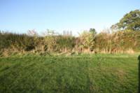 Grass electric pitch A8