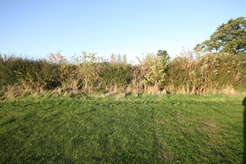 Grass electric pitch A8