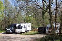 Electric Hard Standing Pitch (no tents)