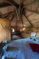 "Cerf" Deer Tree House