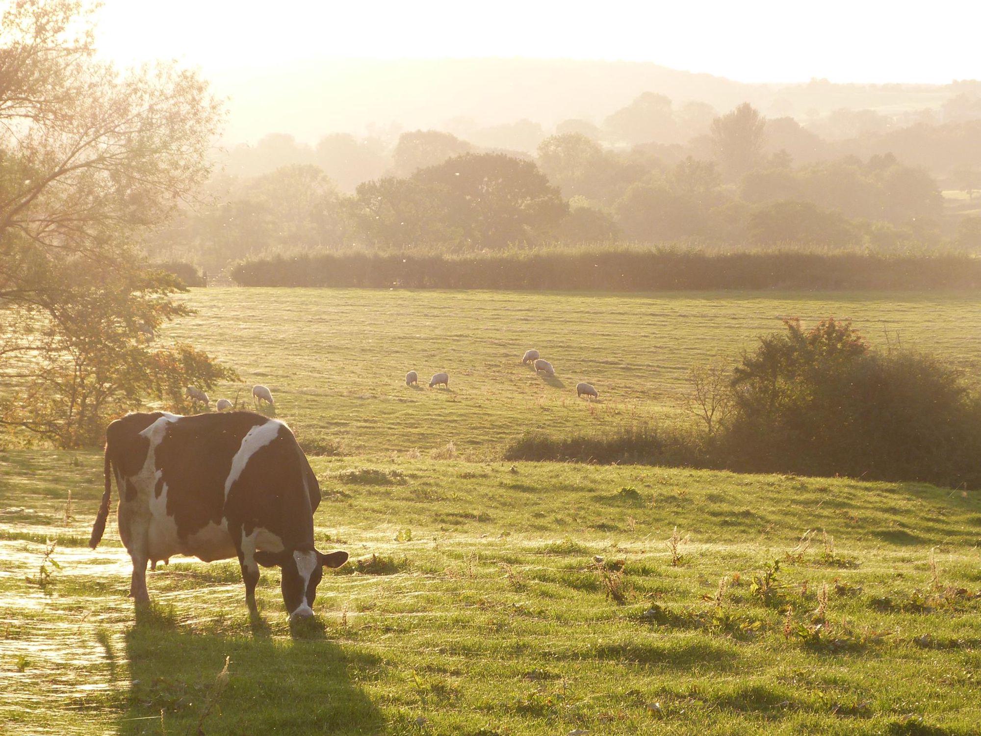 Derby Camping Best campsites in Derby, Derbyshire