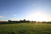 Grass electric pitch A9