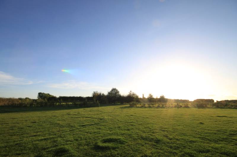 Grass electric pitch A9