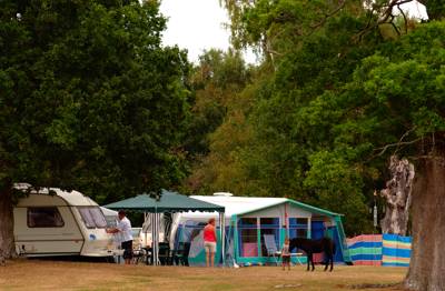 Denny Wood Camping Beaulieu Road, Lyndhurst, Hampshire, SO43 7FZ