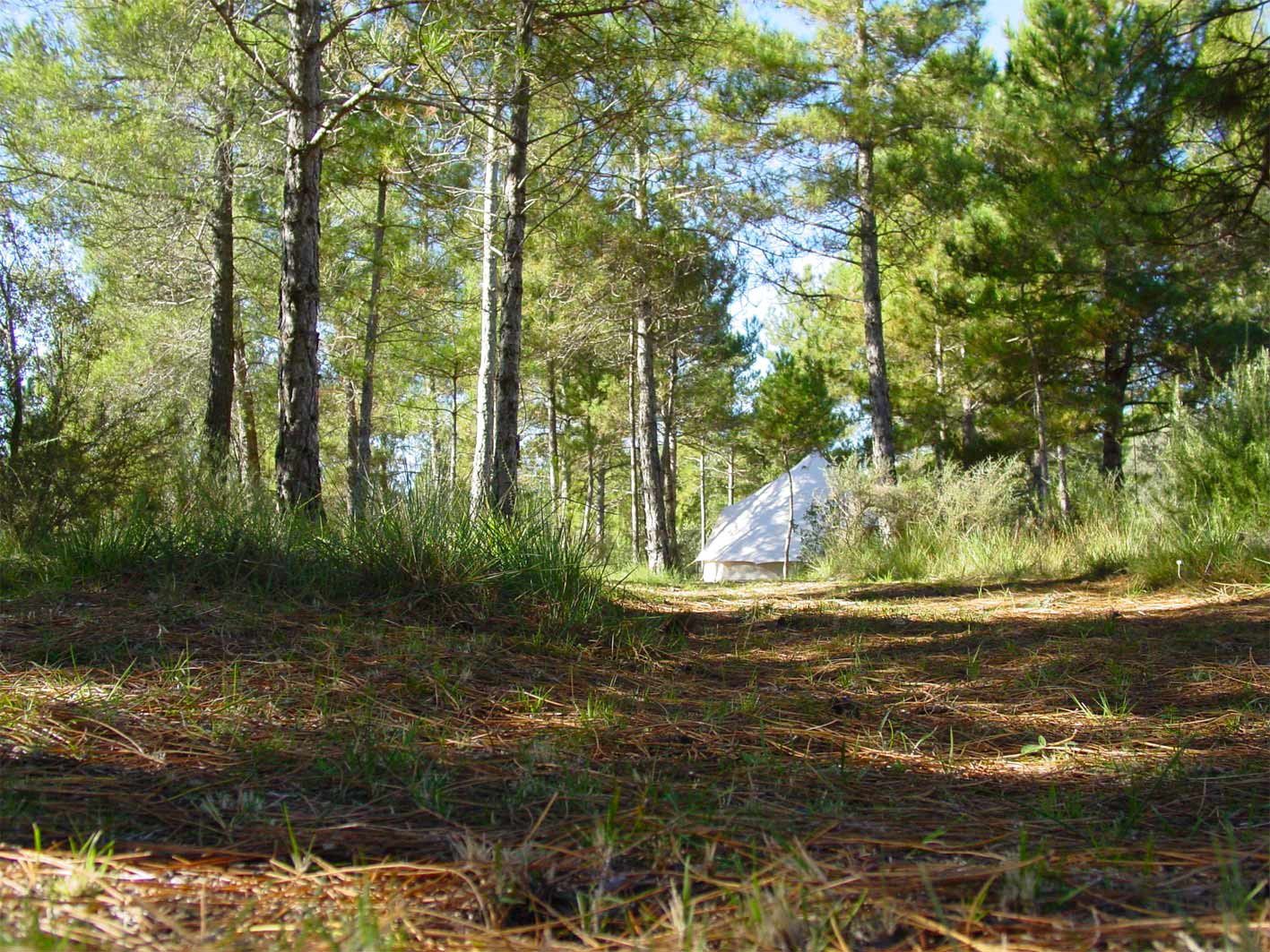 Campsites in the Pyrenees Mountains Camping in France & Spain