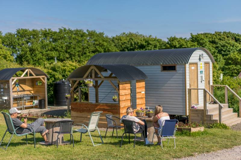 NonElectric Standard Grass Pitch