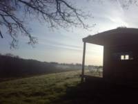 Derwen