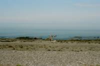 Beachside Campervan Parking