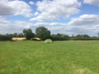20 Pop-up Camping Meadow Pitch (1st Field)