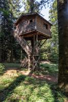 "Marmotte" Marmot Tree House
