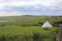 Dandelion Bell Tent