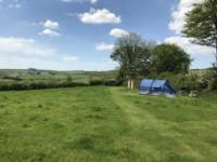 Grass Pitch