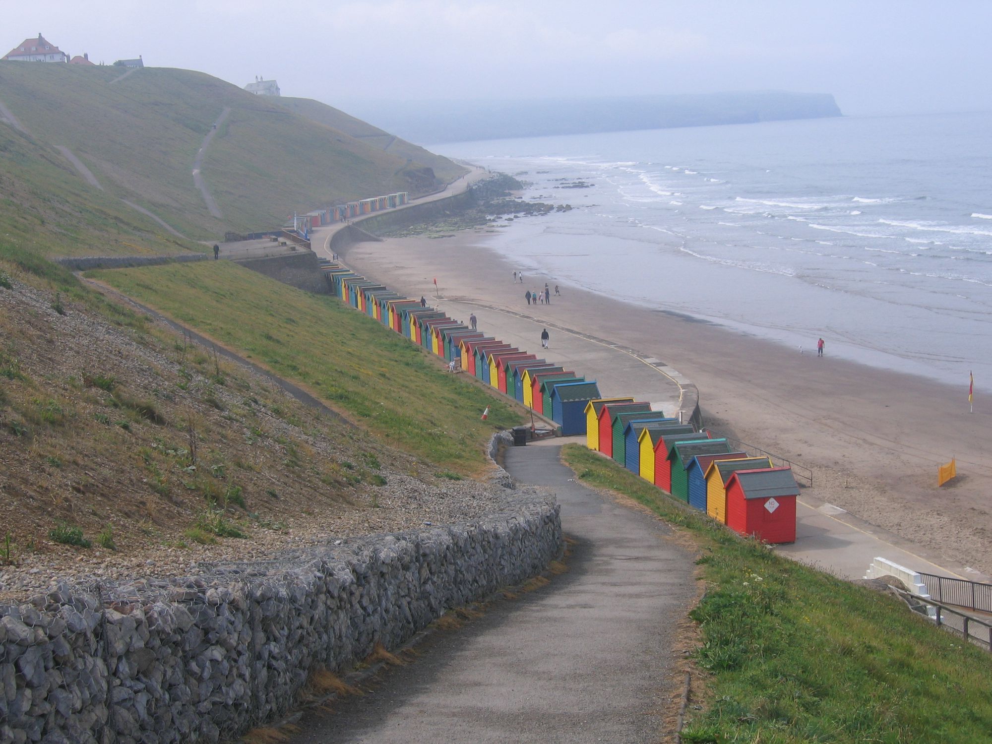 can you take dogs on the beach at whitby