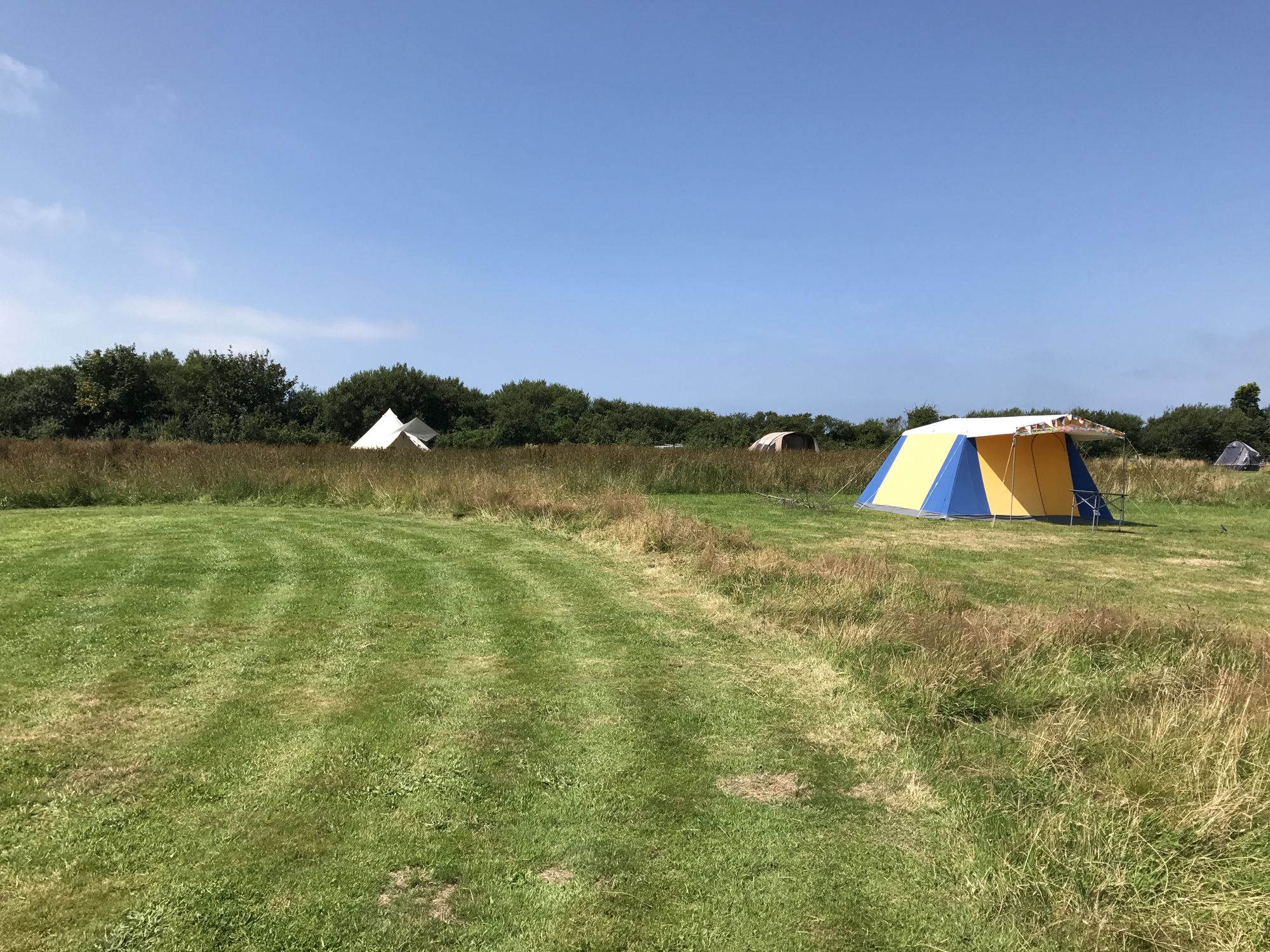 Grass Pitch 17 at Little Haven Campsite - Cool Camping (15692)