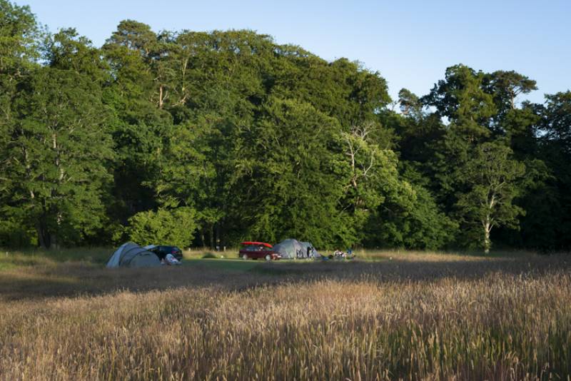 Crook of the River Grass Pitch Non EHU