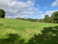 Crook of the River Grass Pitch Non EHU