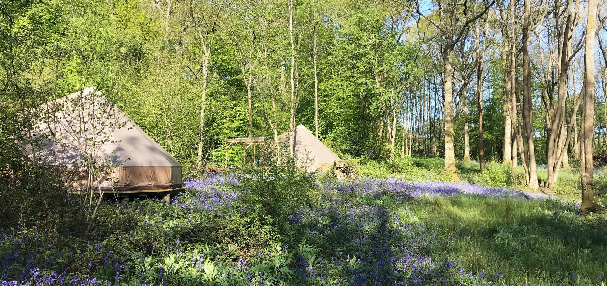 Glamping in Haywards Heath – Cool Camping