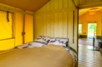 Dragonfly Dreams Safari Tent