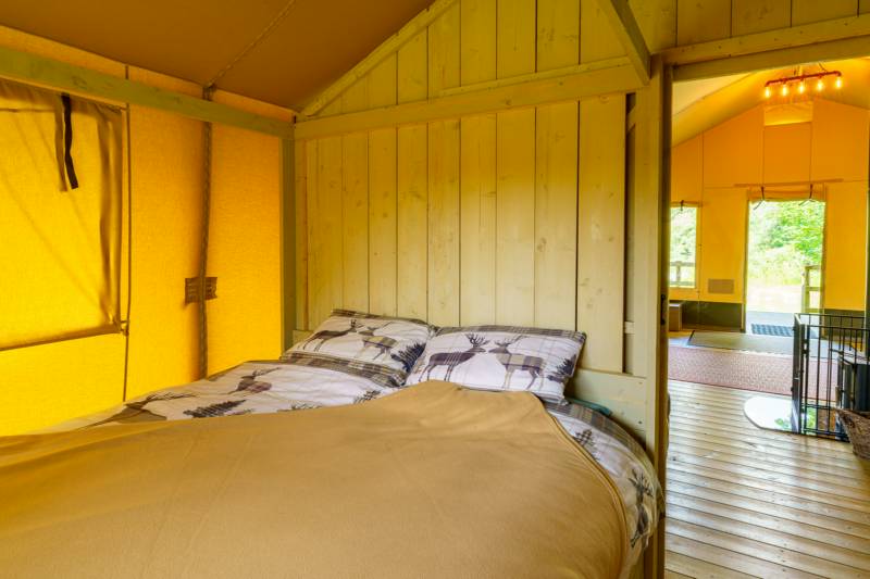 Dragonfly Dreams Safari Tent