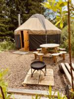 Ragwort Yurt