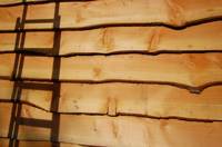 Russet