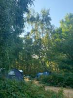 Double Forest Tent Pitch