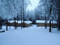 Wyldwood Lodge