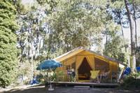 Classic V Wood & Canvas Tent