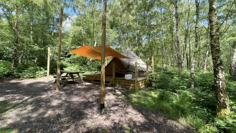 'Wild Glamping' Tent