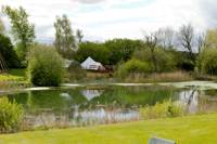 Rainbow Trout Bell Tent