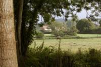 Bomford