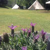 STAR "Belle" Tent 5m