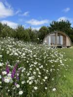 Stargazy 2 Bedroom Glamping Pod