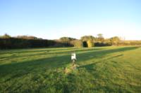 Grass electric pitch B2