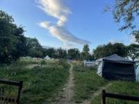 Grass Pitch 18